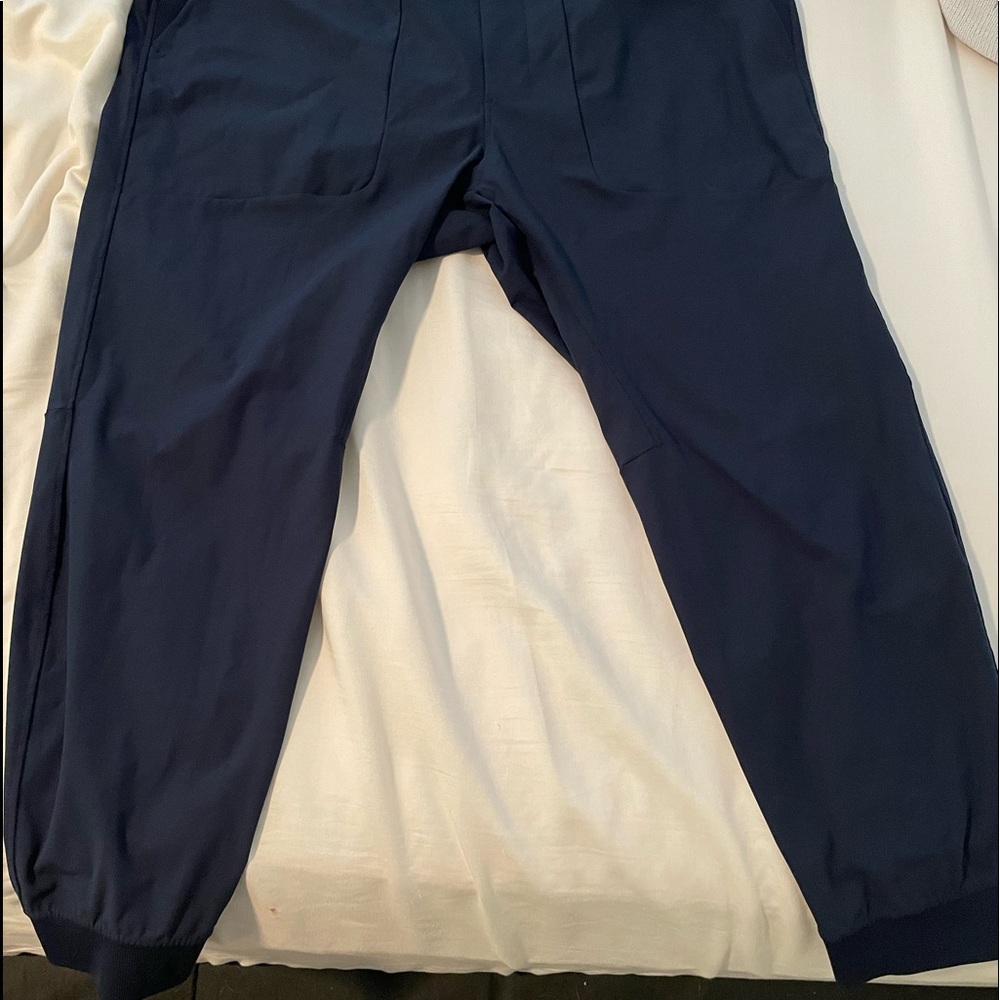 Lululemon mens abc joggers